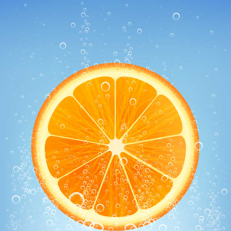 白色背景上的柑橘類水果矢量插圖 平面設計的活力源泉